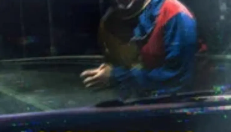 Poster Clown Panic